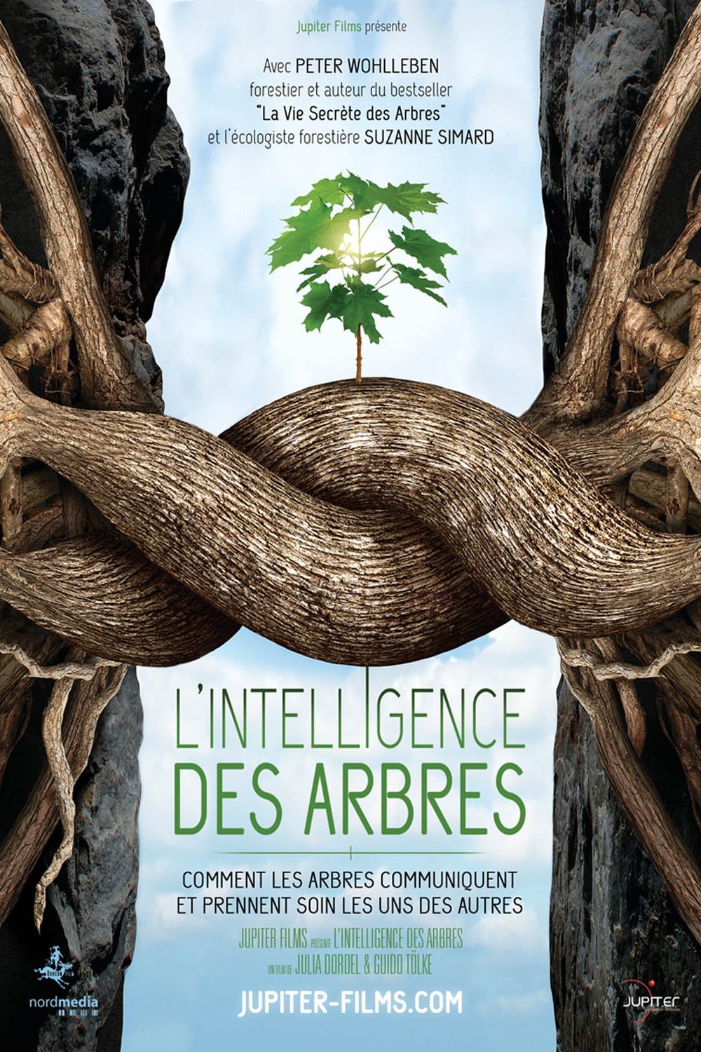 L'affiche du film L'Intelligence des arbres