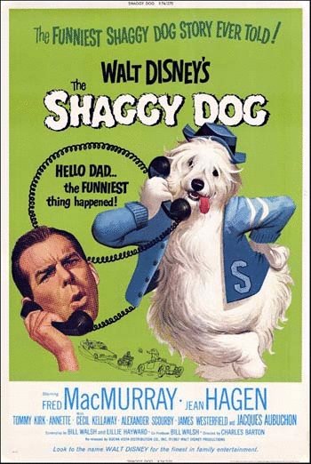 Poster of the movie The Shaggy Dog