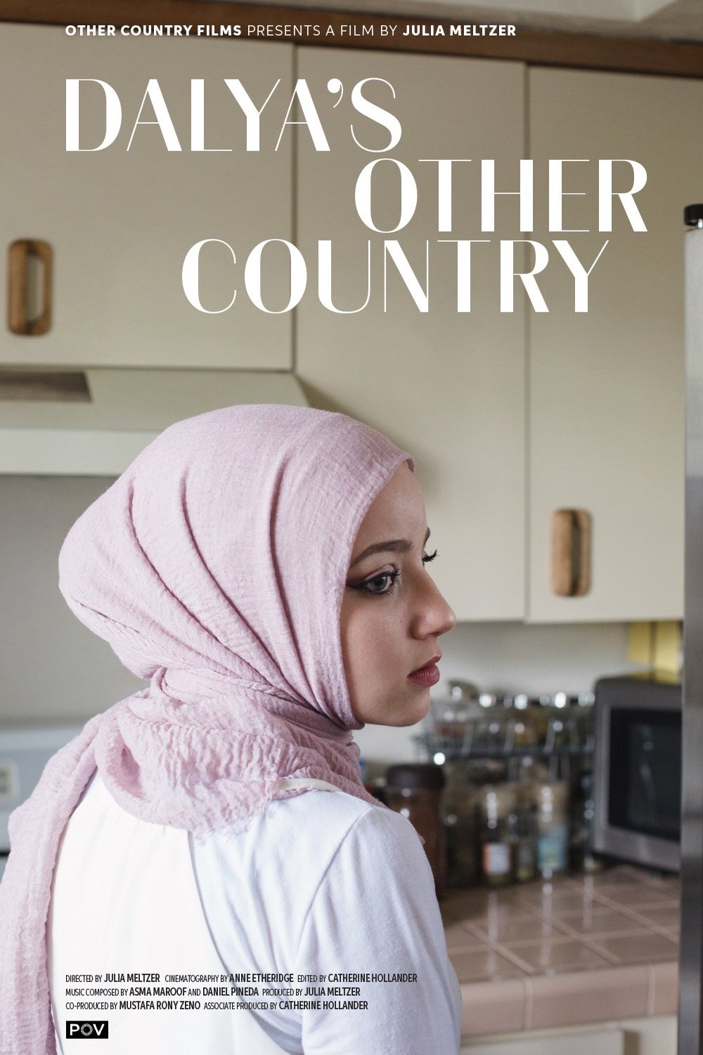 L'affiche du film Dalya's Other Country