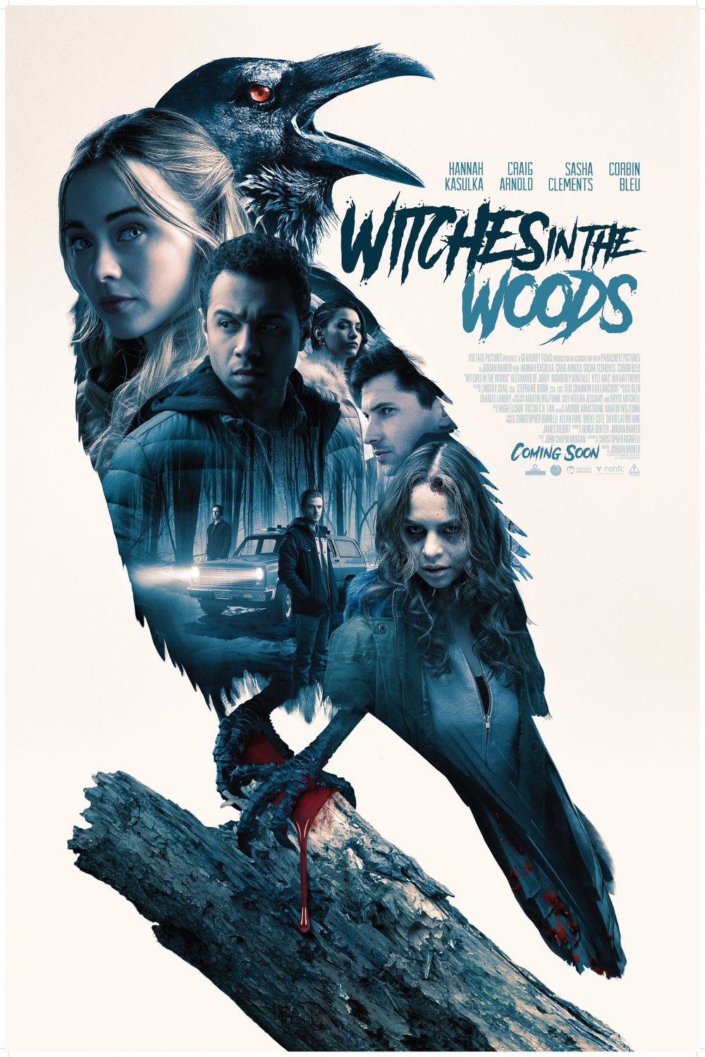 L'affiche du film Witches in the Woods