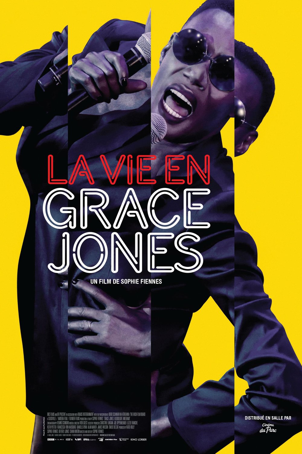 L'affiche du film La Vie en Grace Jones