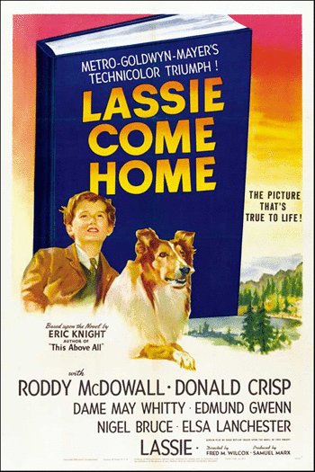 L'affiche du film Lassie Come Home