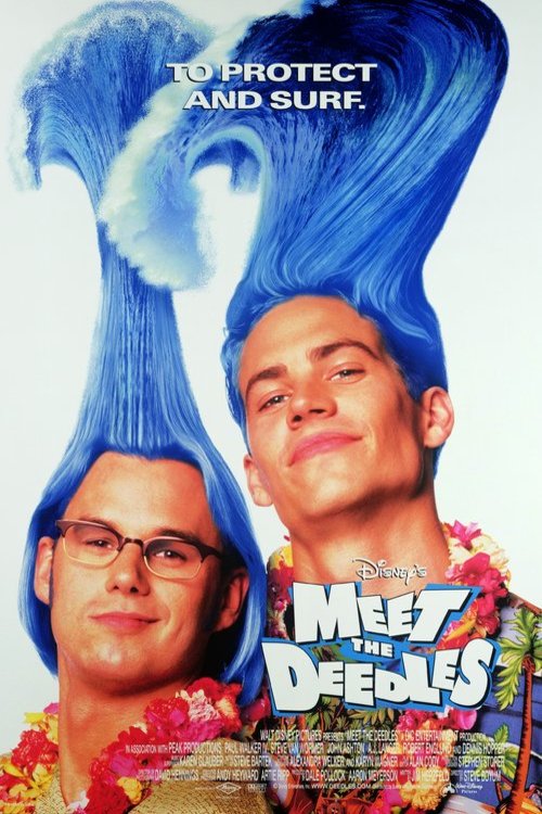 Poster of the movie Meet the Deedles