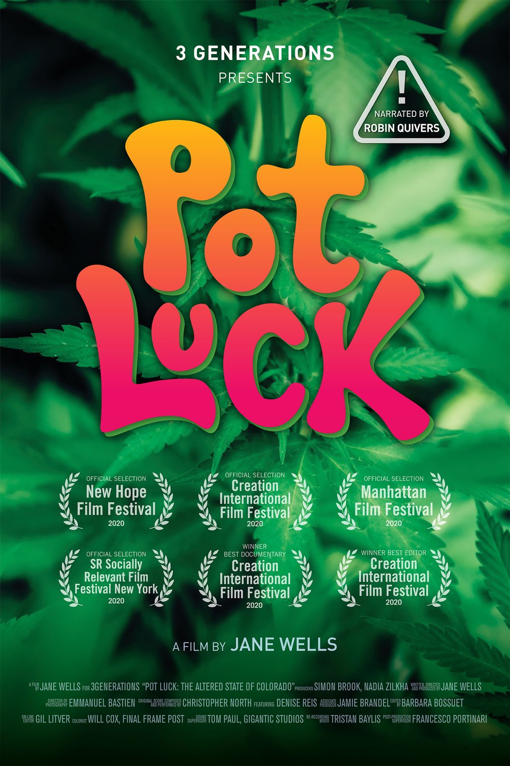 L'affiche du film Pot Luck