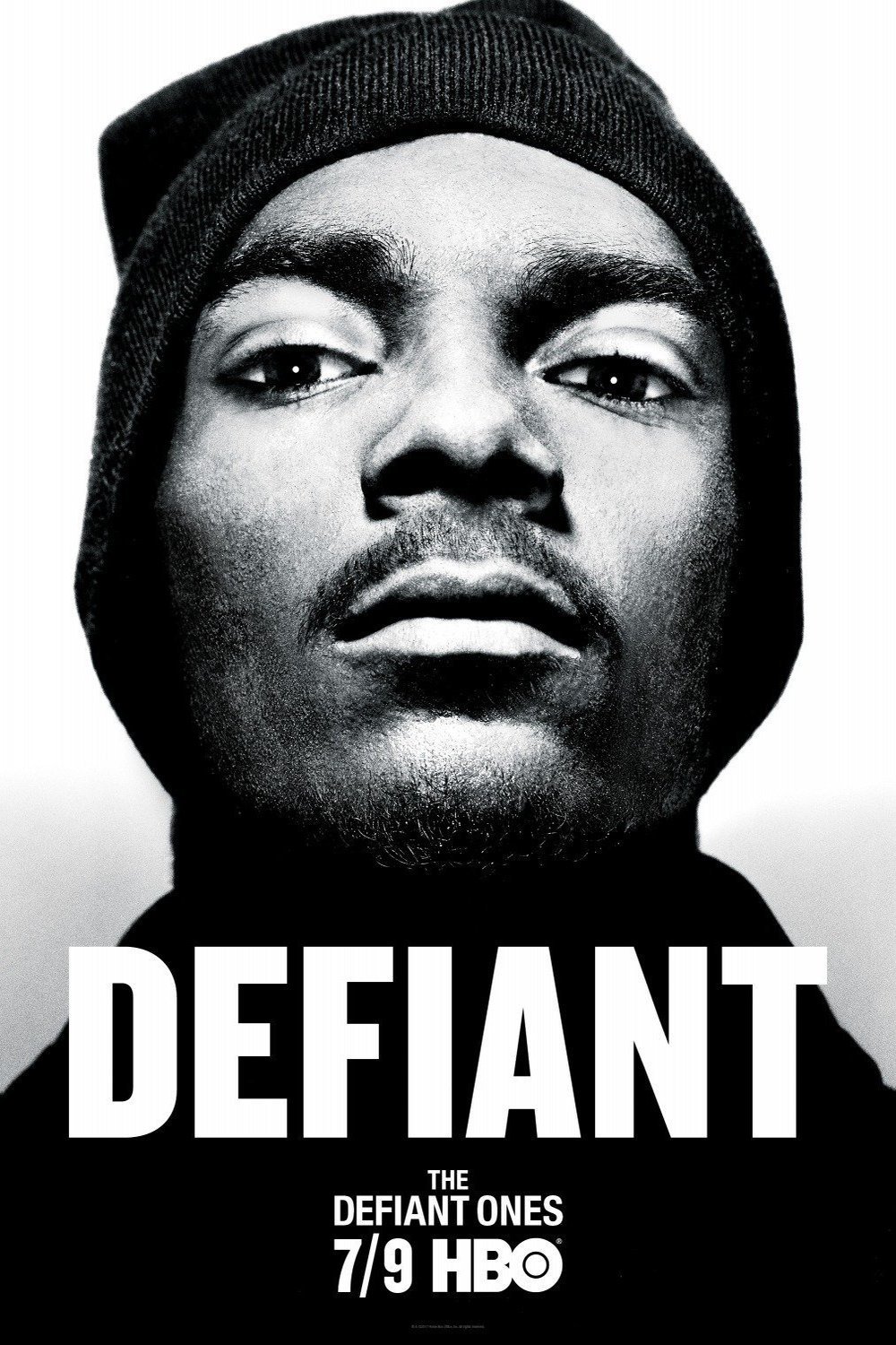 Poster of the movie The Defiant Ones