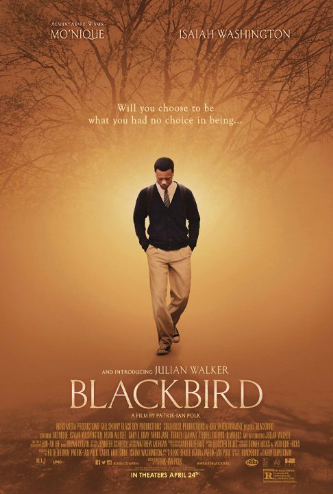 L'affiche du film Blackbird