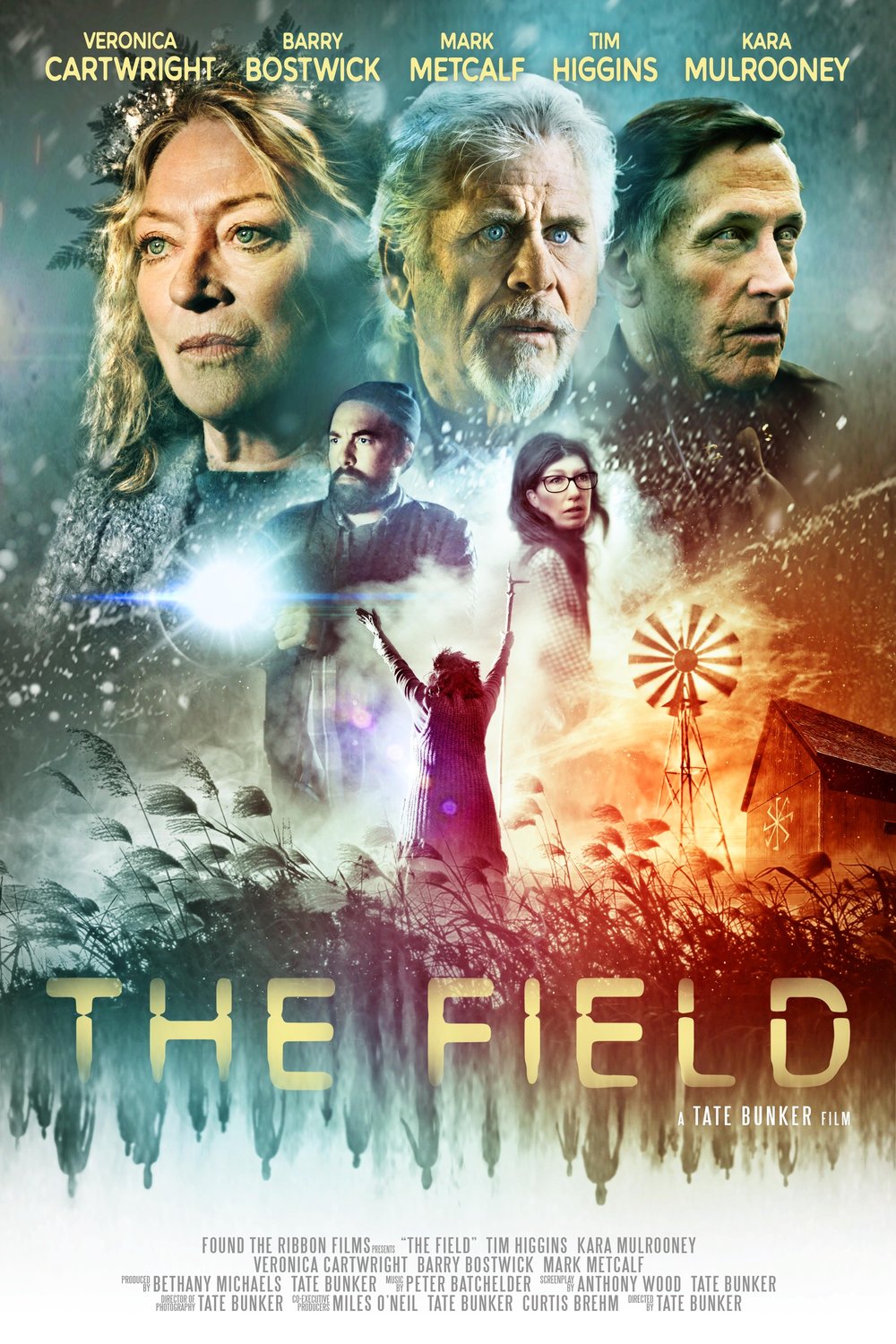 L'affiche du film The Field