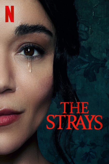 L'affiche du film The Strays