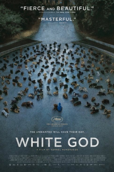 L'affiche du film White God