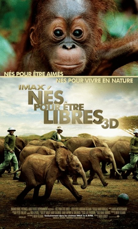 L'affiche du film IMAX: Born to Be Wild