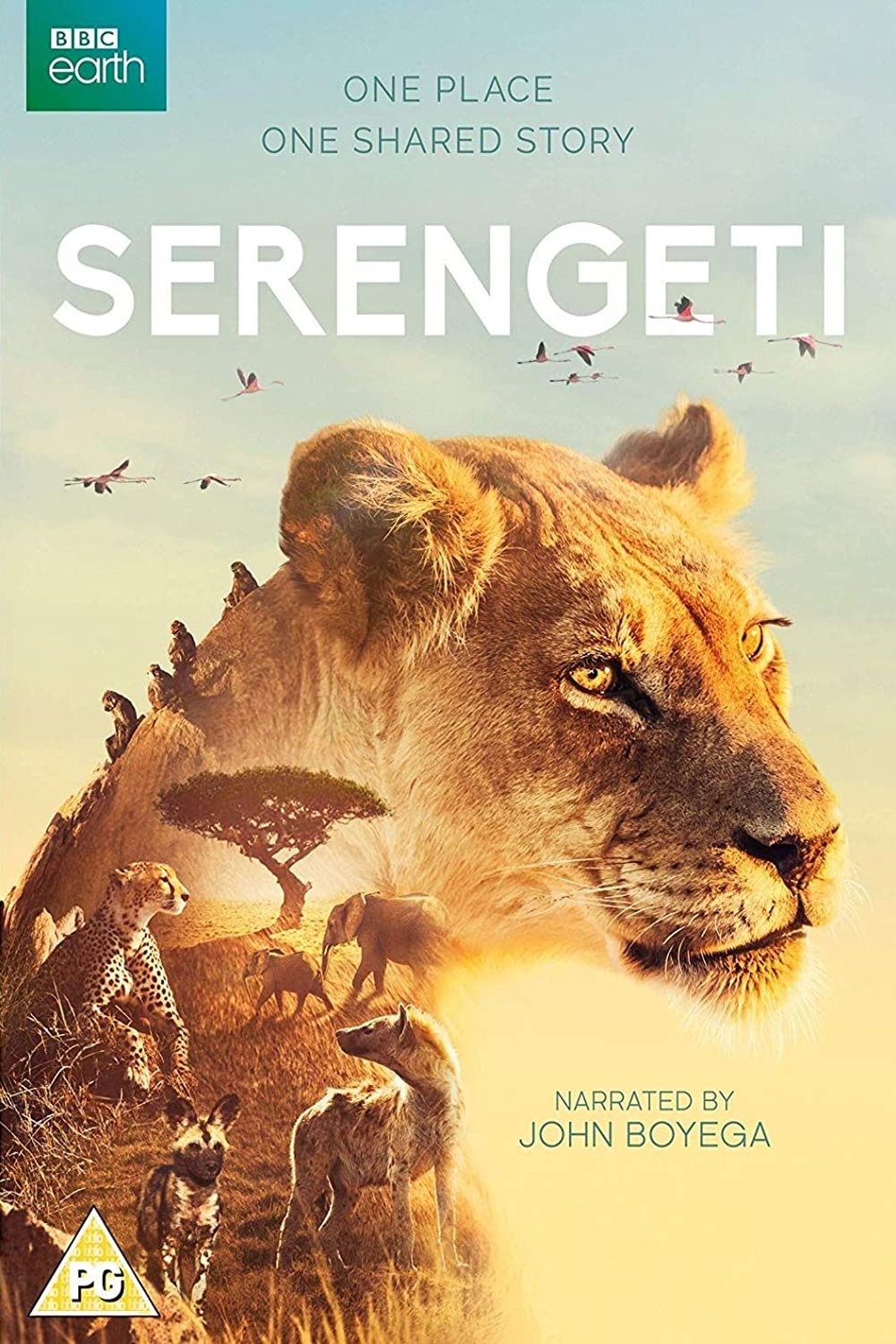 L'affiche du film Serengeti