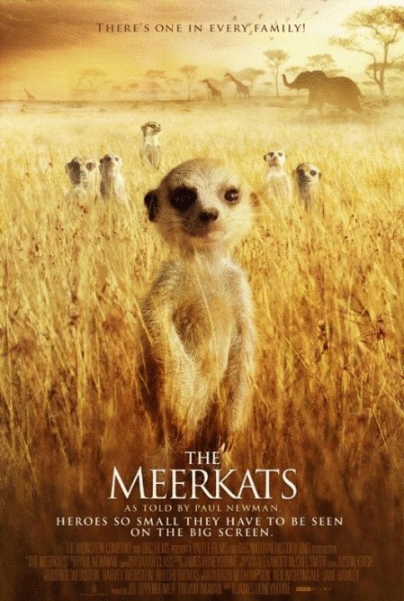 L'affiche du film The Meerkats