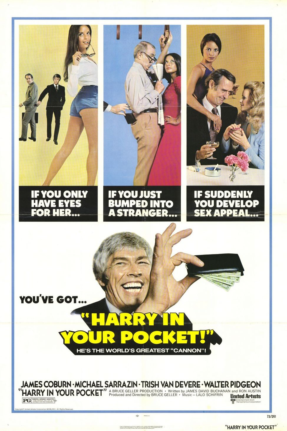 L'affiche du film Harry in Your Pocket