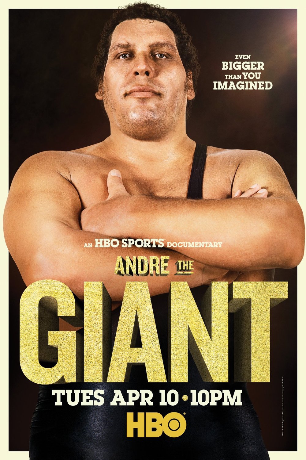 L'affiche du film Andre the Giant