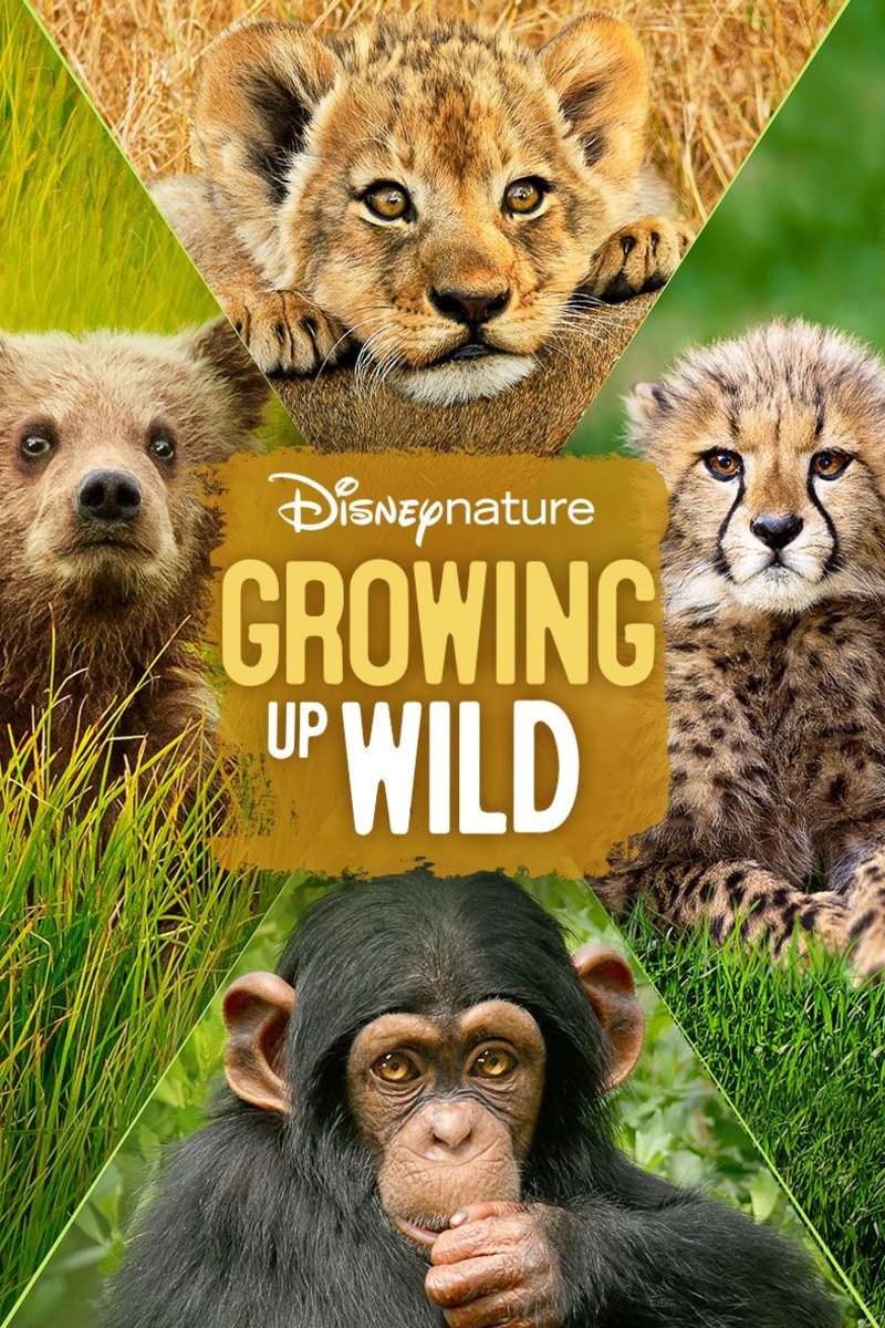 L'affiche du film Growing Up Wild