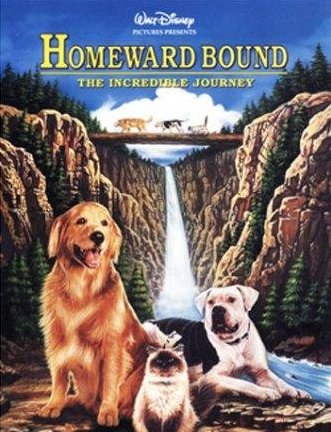 L'affiche du film Homeward Bound: The Incredible Journey