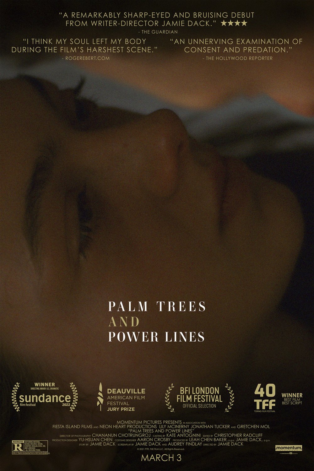 L'affiche du film Palm Trees and Power Lines