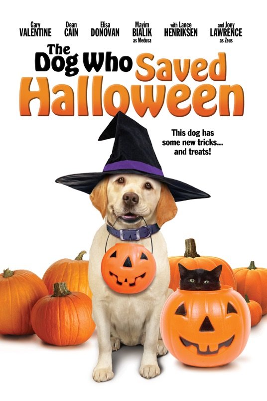 L'affiche du film The Dog Who Saved Halloween
