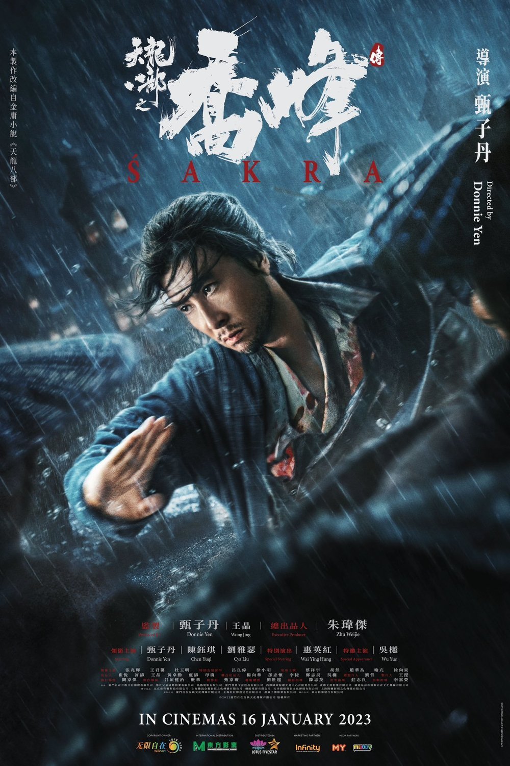 L'affiche originale du film Tin lung baat bou en Chinois