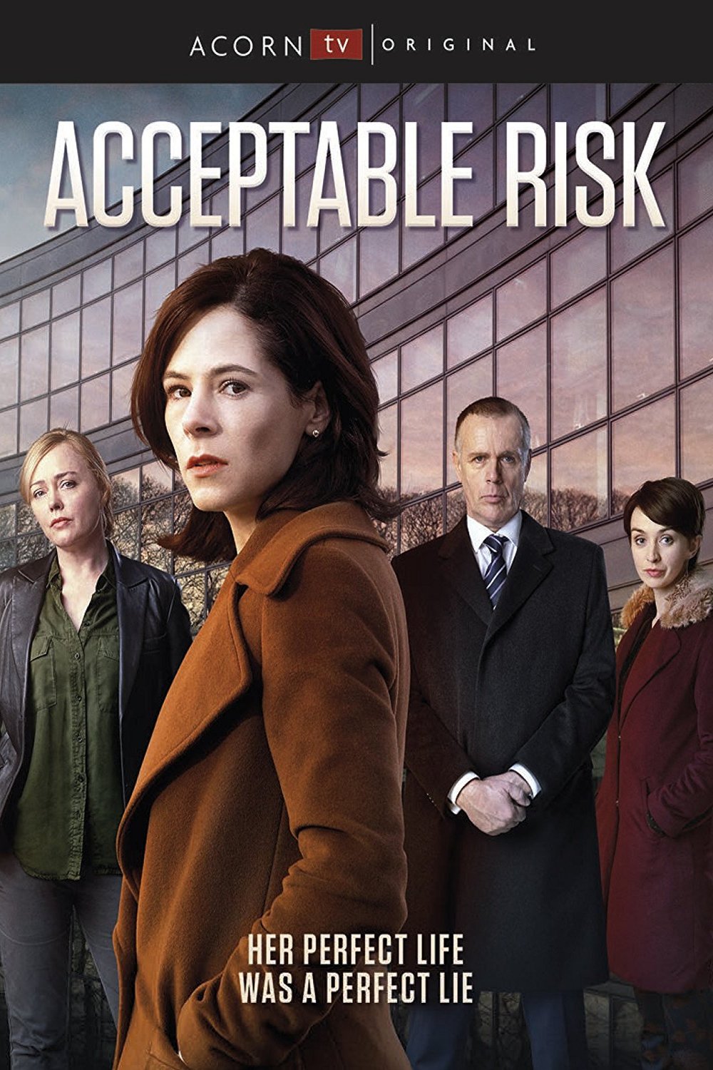 Poster of the movie Acceptable Risk