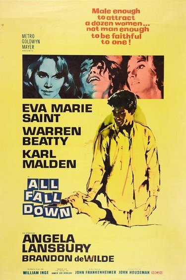 L'affiche du film All Fall Down