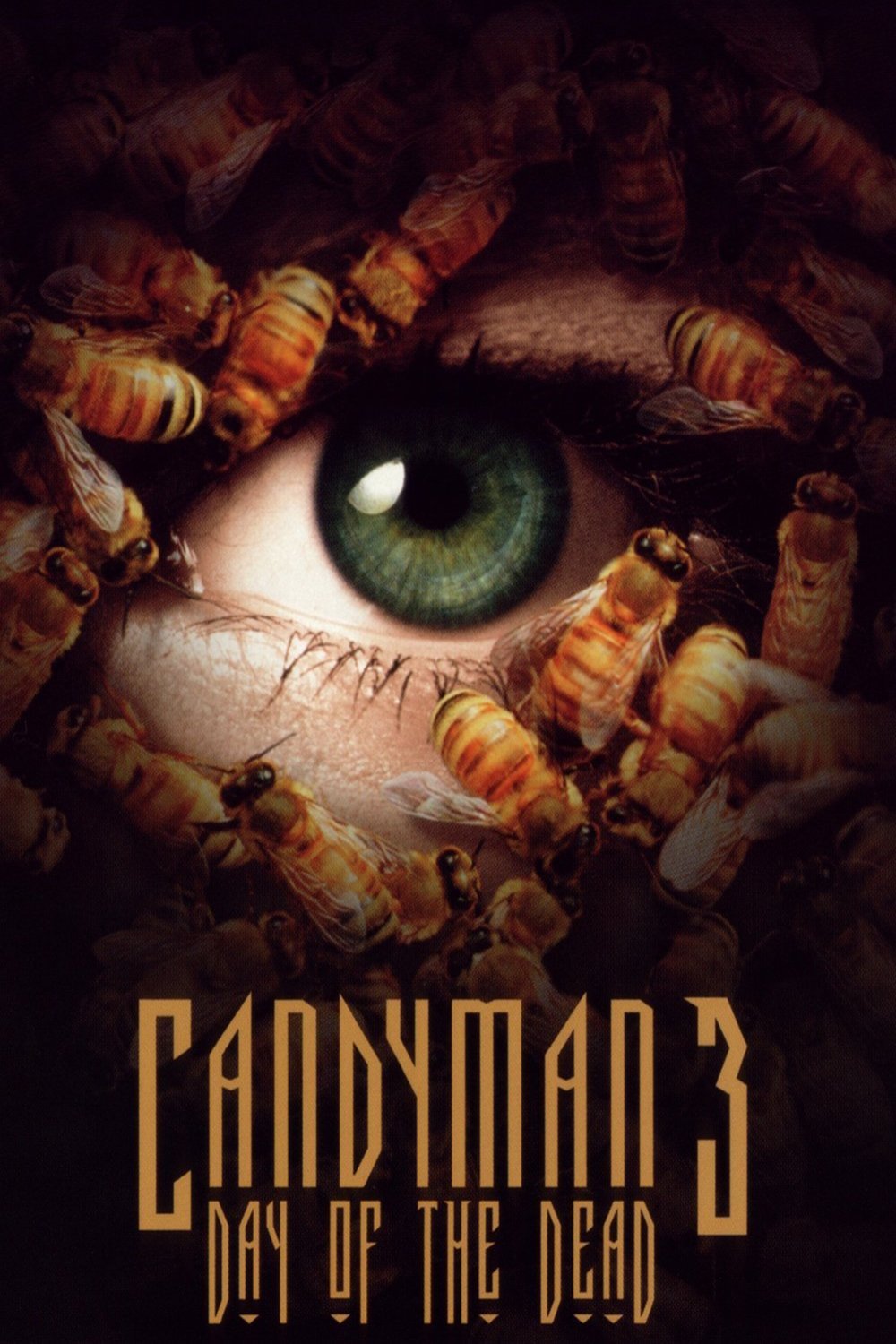 L'affiche du film Candyman 3: Day of the Dead