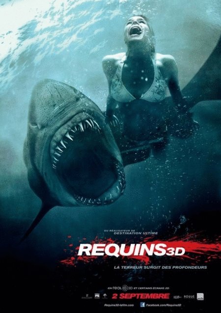 L'affiche du film Requins