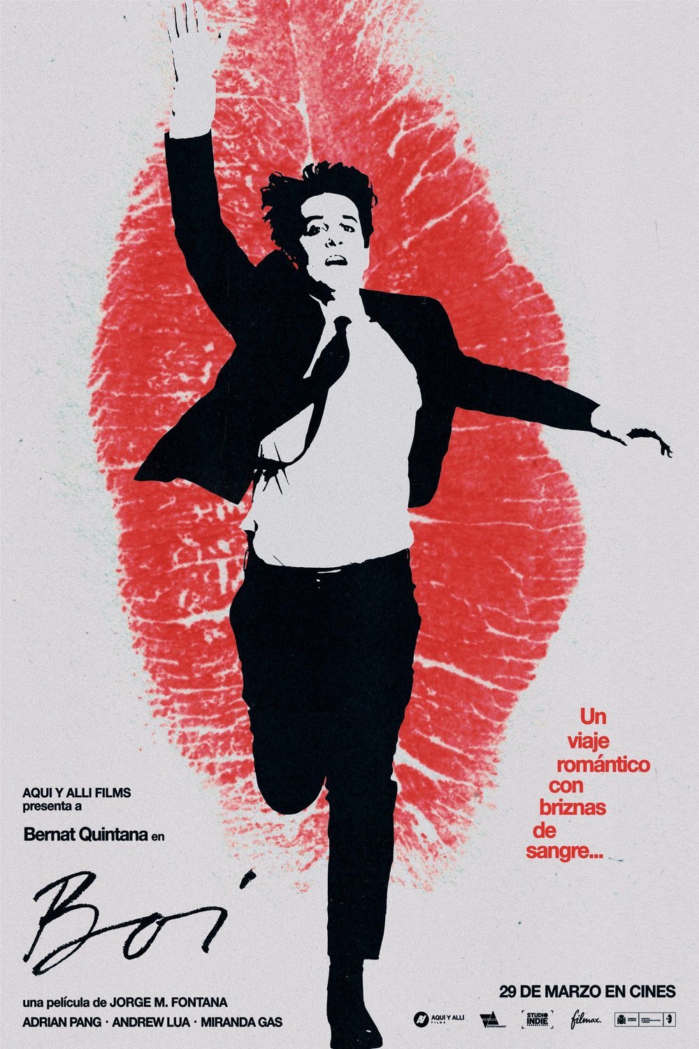 L'affiche originale du film Boi en espagnol
