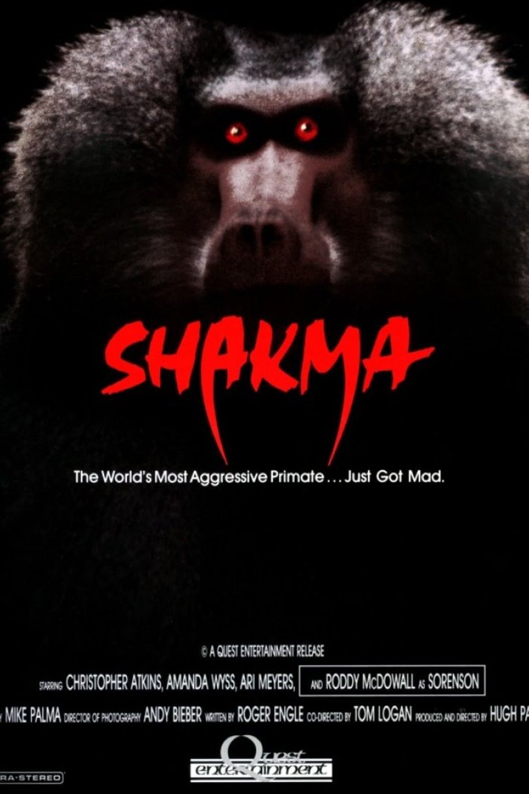 L'affiche du film Shakma