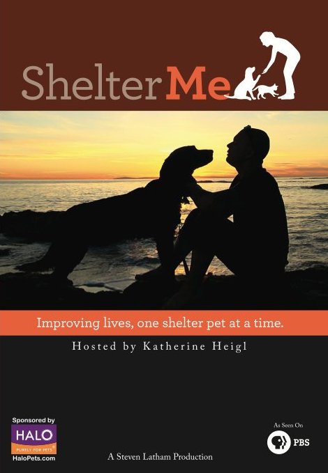 L'affiche du film Shelter Me