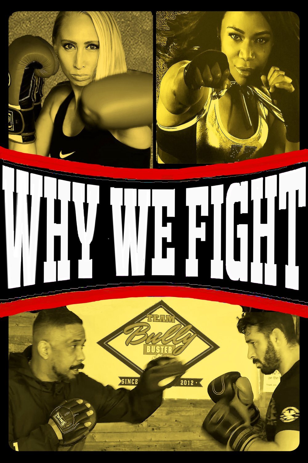 L'affiche du film Why We Fight