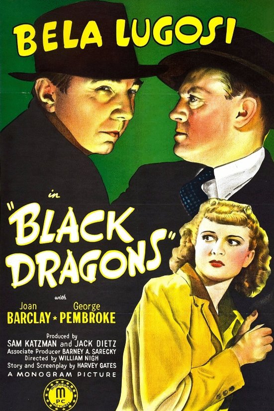 L'affiche du film Black Dragons