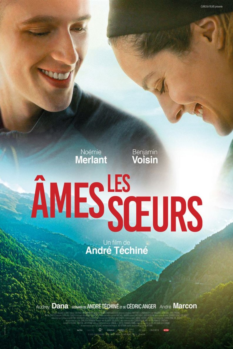 Poster of the movie Les âmes soeurs