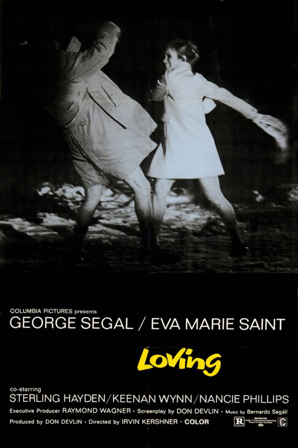 L'affiche du film Loving