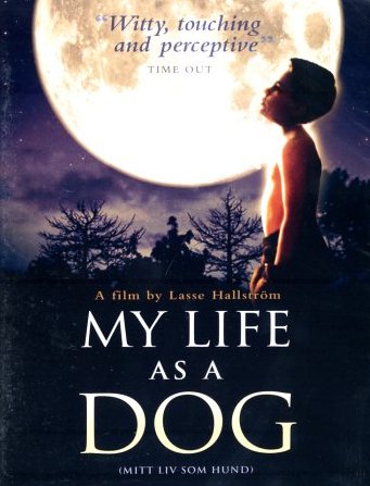 L'affiche du film Mitt liv som hund