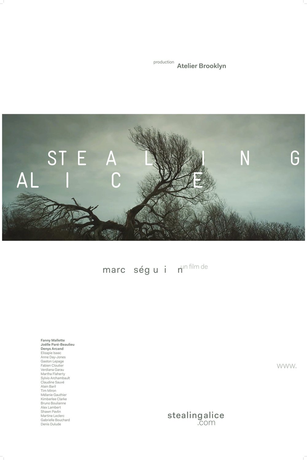 L'affiche du film Stealing Alice