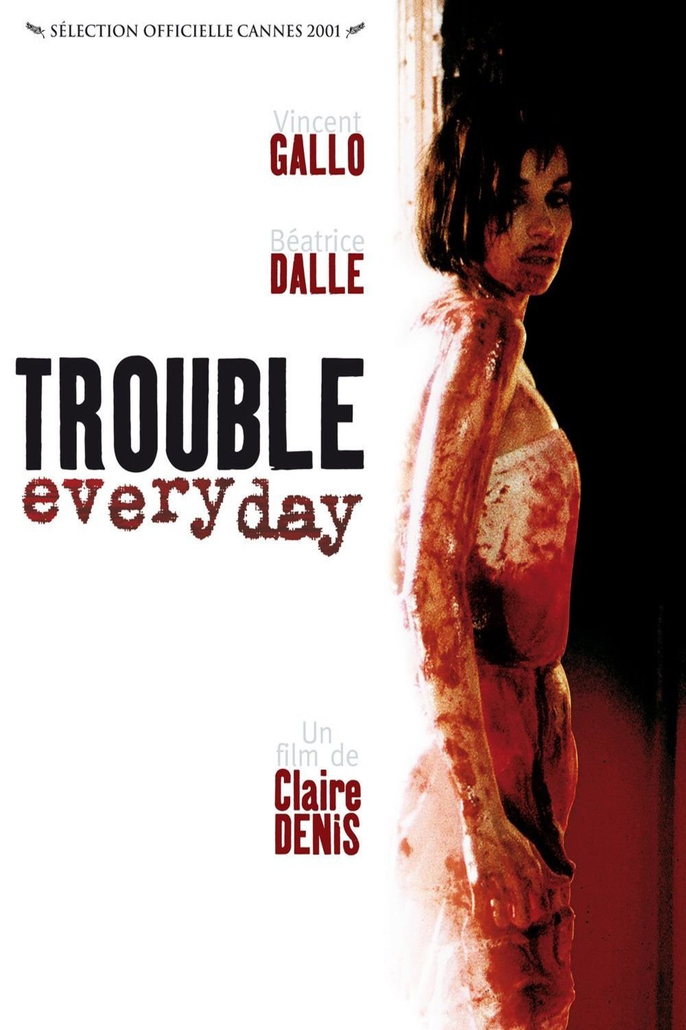 L'affiche du film Trouble Every Day