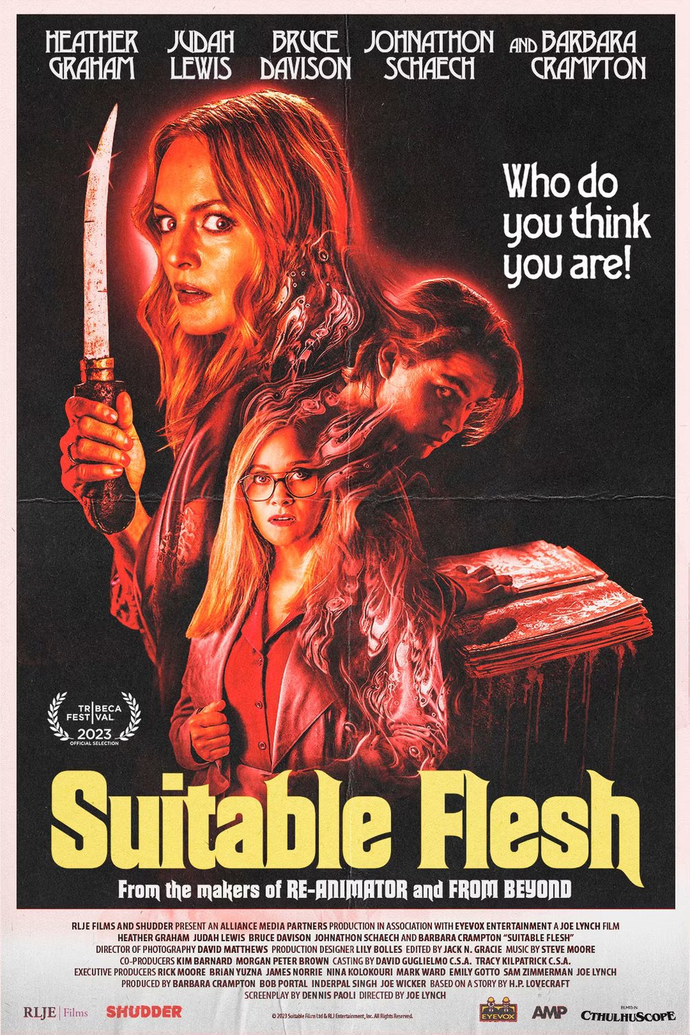 L'affiche du film Suitable Flesh
