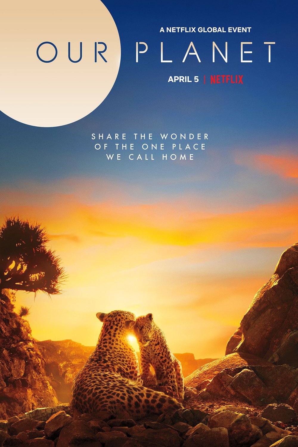 Poster of the movie Our Planet