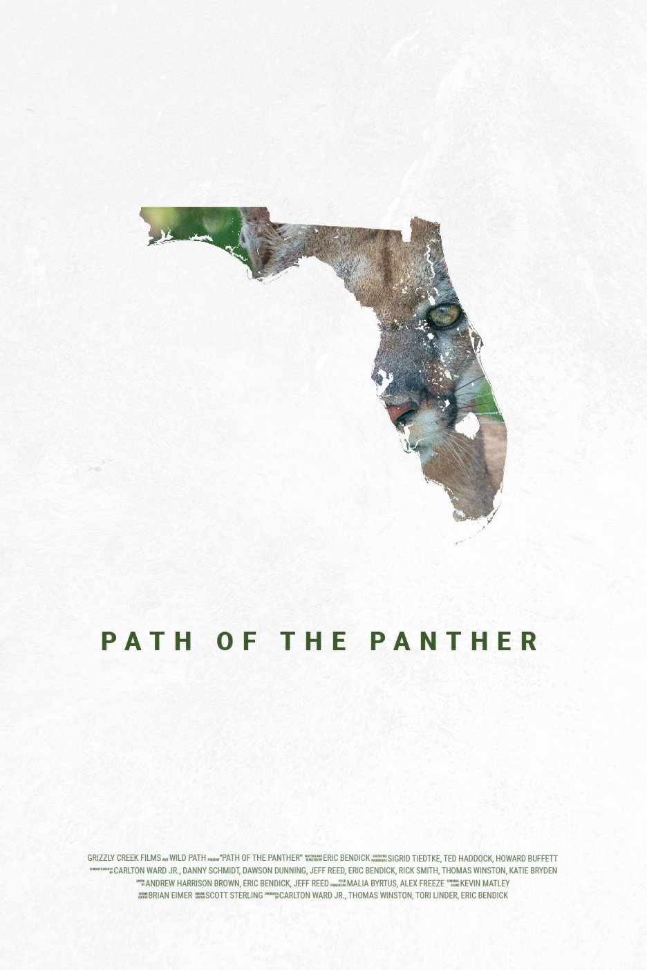 Poster of the movie Path of the Panther