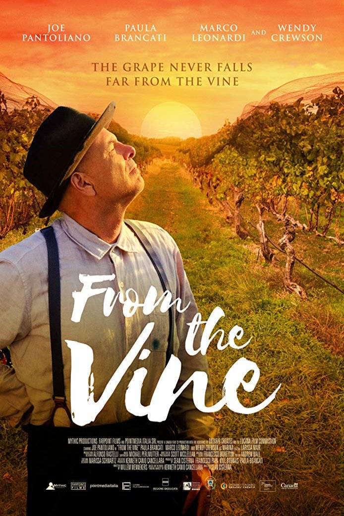 L'affiche du film From the Vine