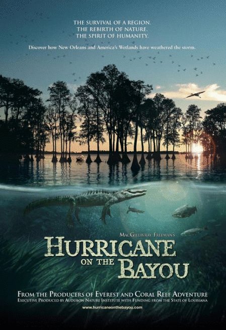 L'affiche du film Ouragan sur le bayou