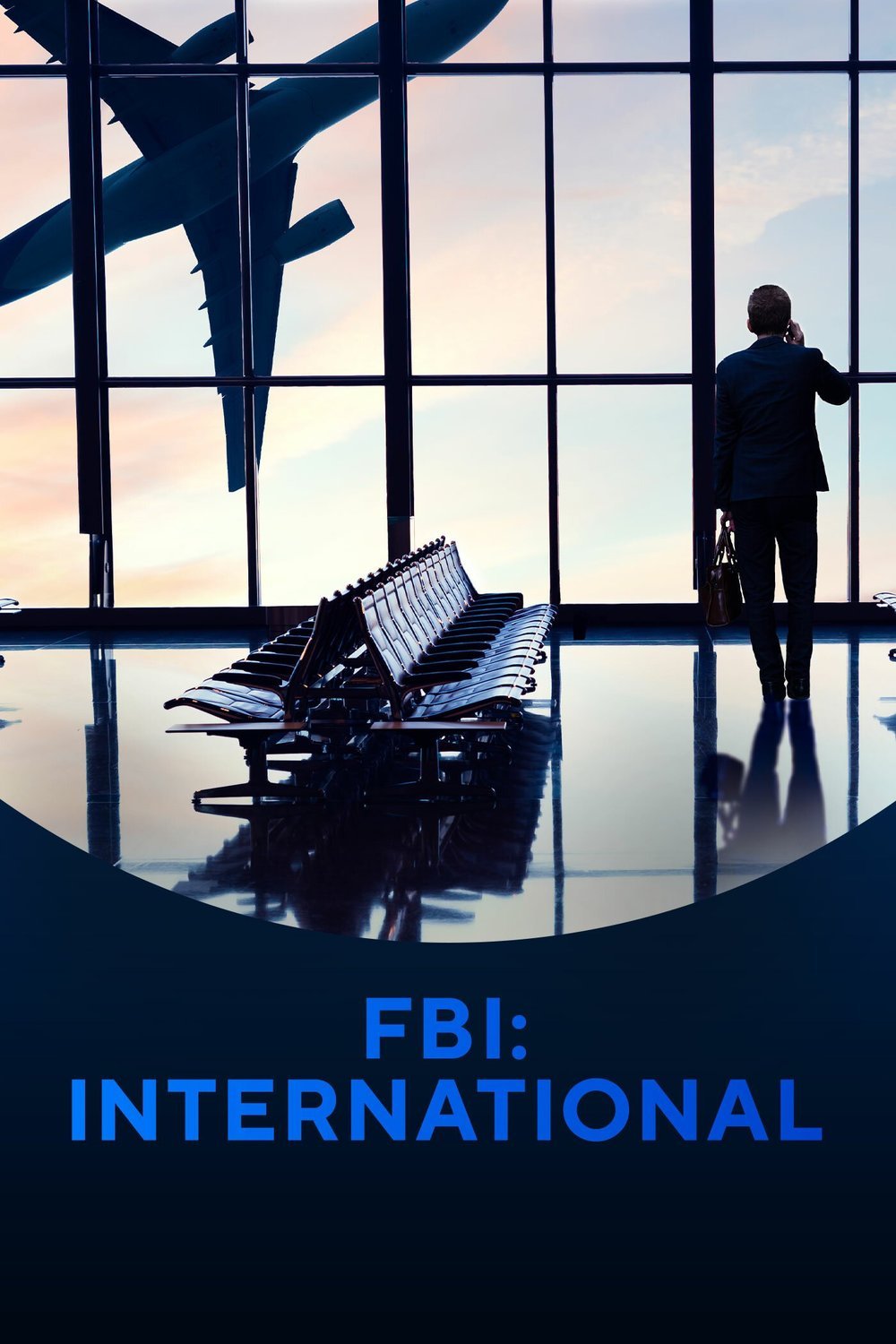 Poster of the movie FBI: International