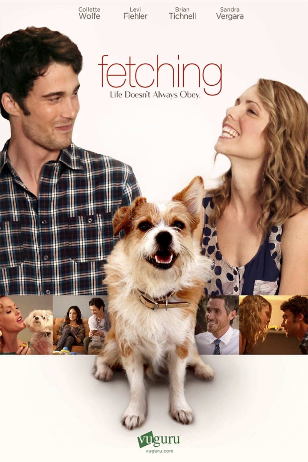 Poster of the movie Fetching