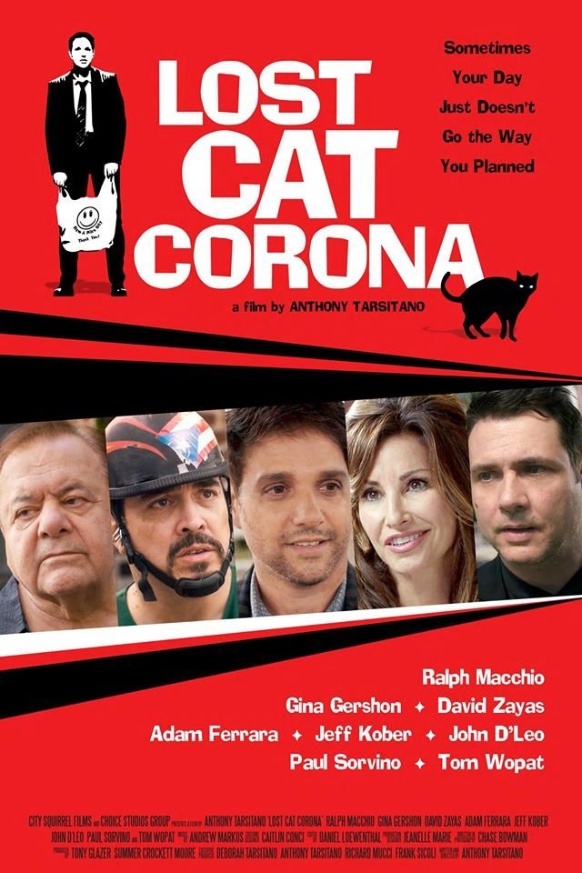 L'affiche du film Lost Cat Corona