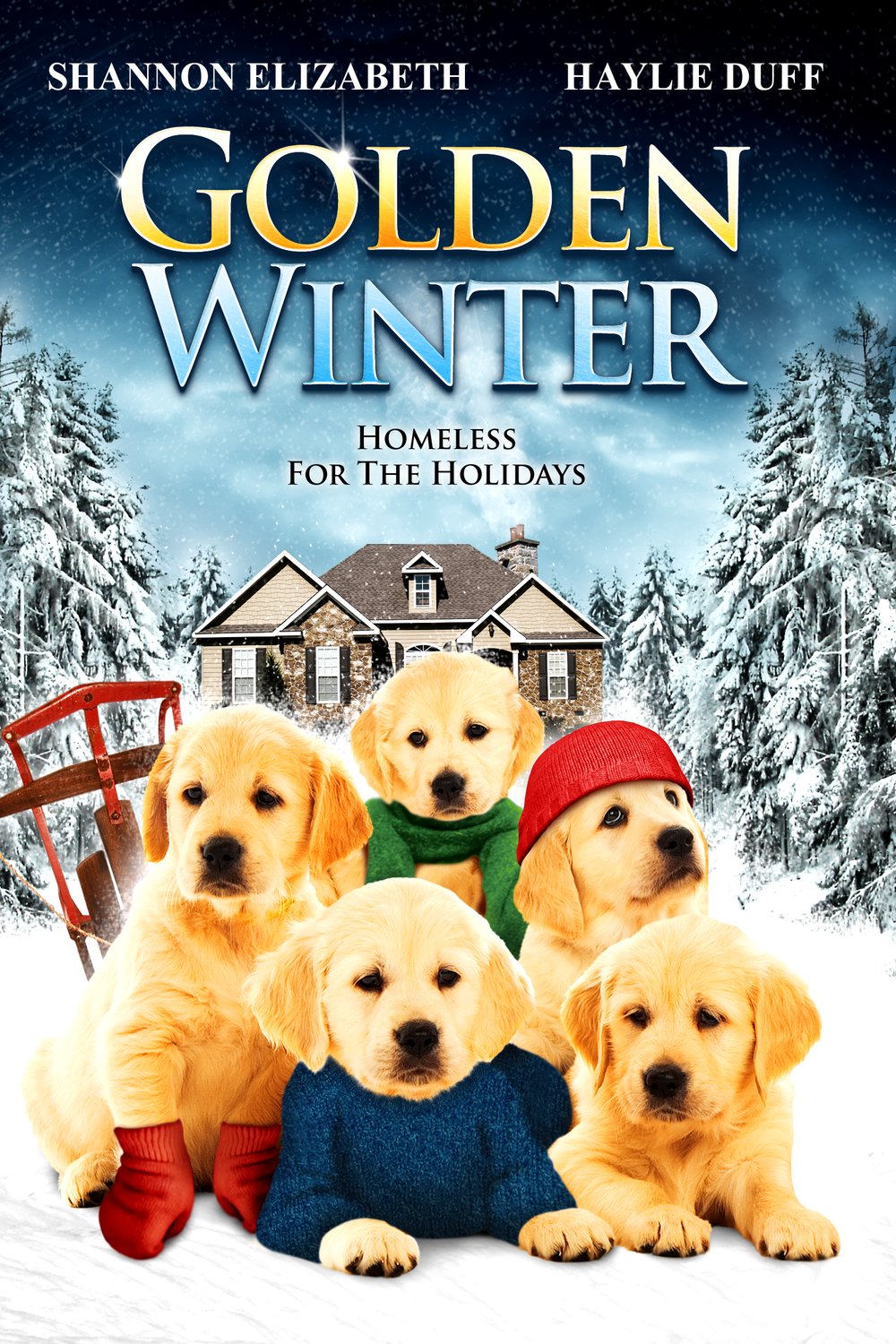 L'affiche du film Golden Winter
