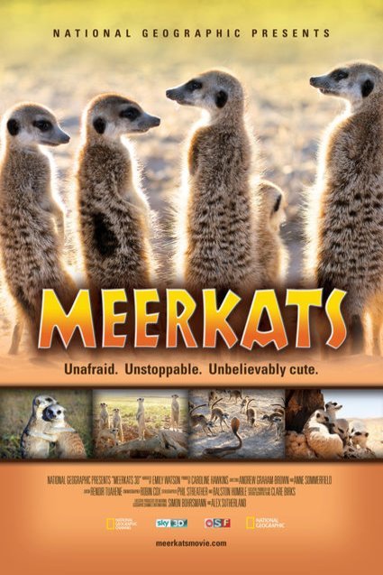 L'affiche du film Meerkats