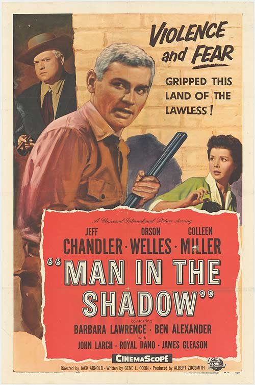 L'affiche du film Man in the Shadow