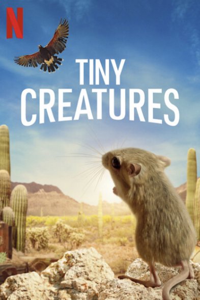 L'affiche du film Tiny Creatures