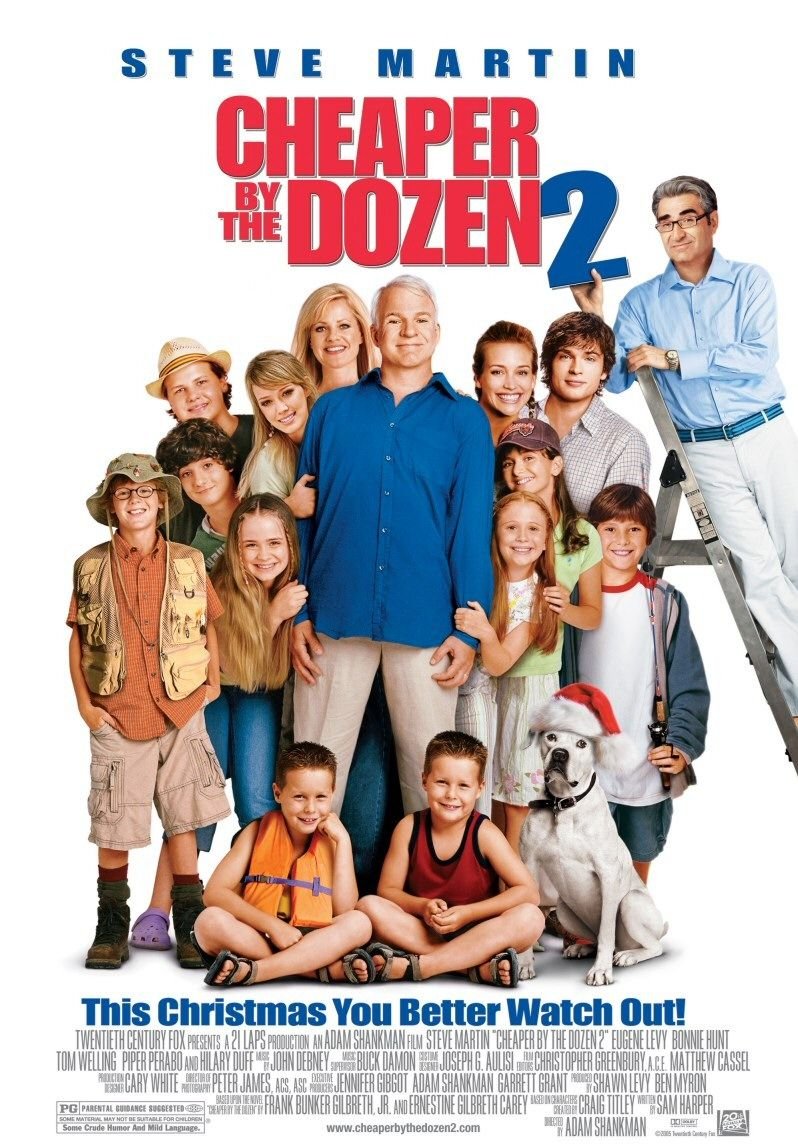 L'affiche du film Cheaper by the Dozen 2